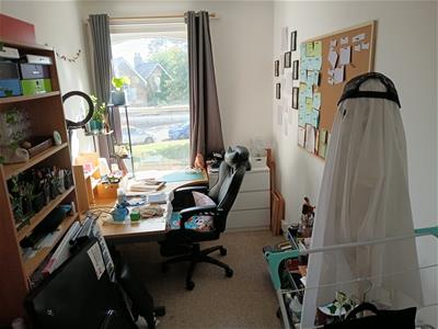 Picture 4